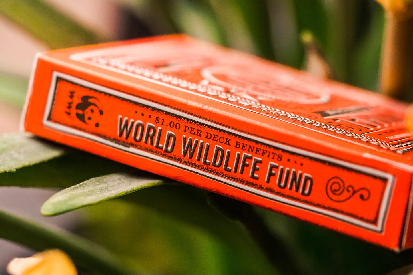 Theory-11 - Animal Kingdom