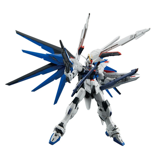 Bandai - MG - Freedom Gundam Ver.2.0