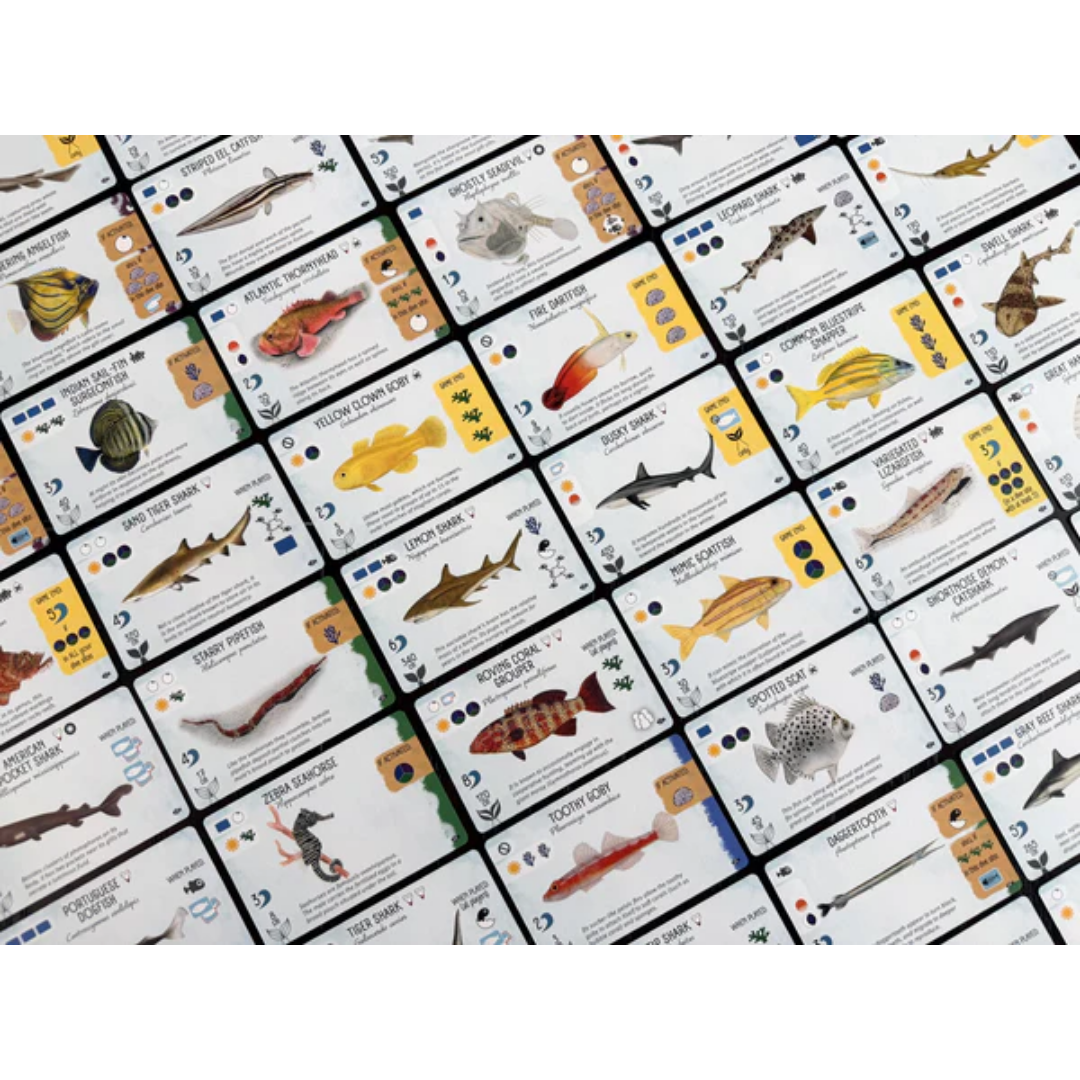 Finspan Sharks and Reefs Expansion with new fish cards 