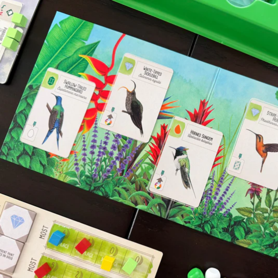 Wingspan Americas Expansion game components including bonus cards, end of round goals, and eggs