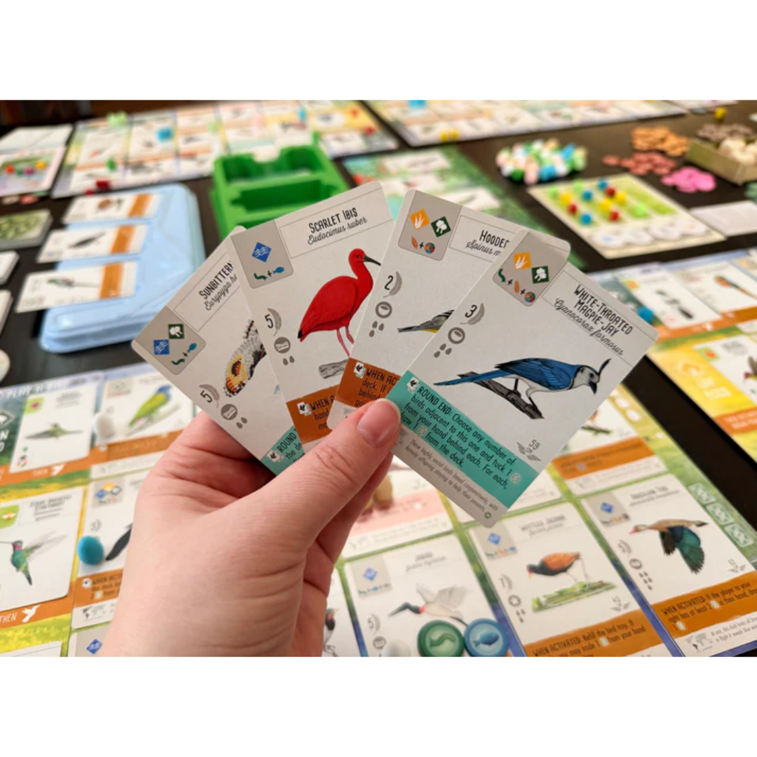 Wingspan Americas Expansion board game box with bird artwork and Stonemaier Games branding